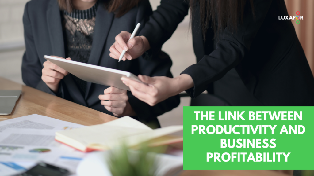 The Link Between Productivity and Business Profitability 1 what is the link between productivity and profitability 1